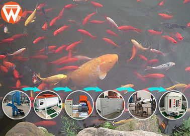 ماشین آلات پردازش خوراک ماهی کمربند مش، فرایند تولید مواد غذایی ماهی 65 کیلو وات